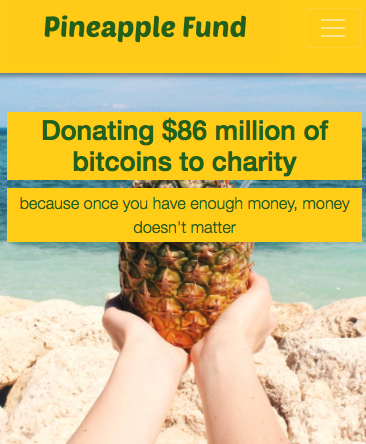 Pineapple-Fund-Home-Page-Mobile-size