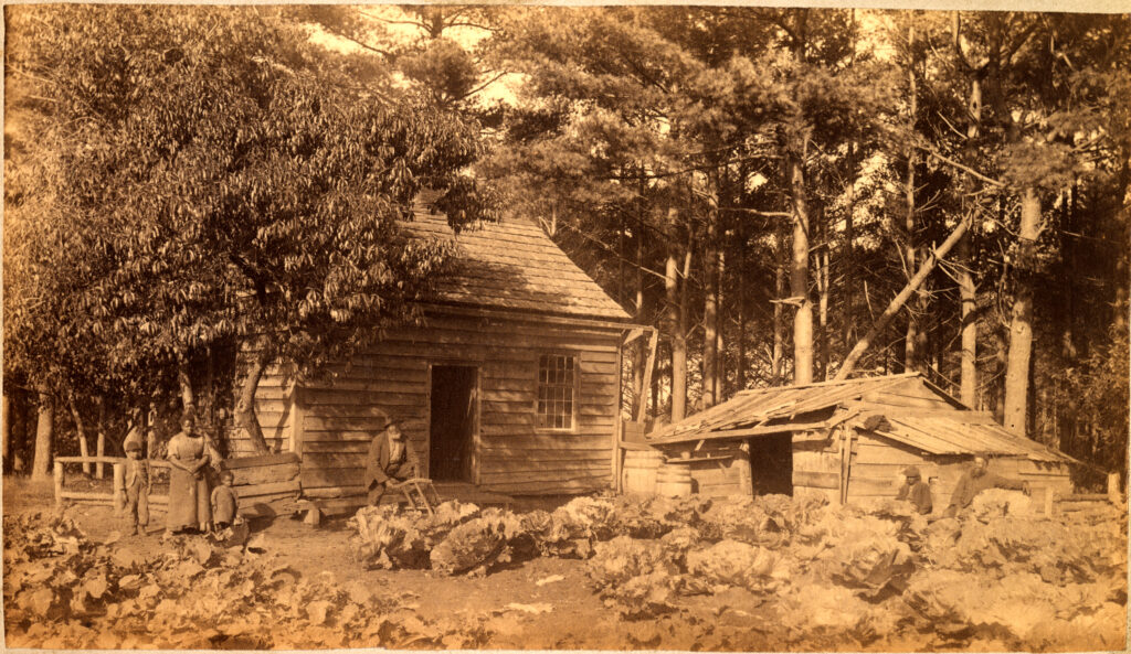 A family in Hatfield, ca. 1889.