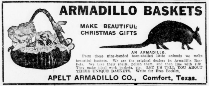 Advertisement with a picture of an armadillo and a basket made from an armadillo. Text reads, "Armadillo Baskets Make Beautiful Christmas Gifts. From these nine-banded horn-shelled little animals we make beautiful baskets. We are the original dealers in Armadillo Baskets. We take their shells, polish them, and then line with silk. They make ideal work baskets, etc. Let us tell you about these unique baskets. Write for Free Booklet. Apelt Armadillo Co., Comfort, Texas."